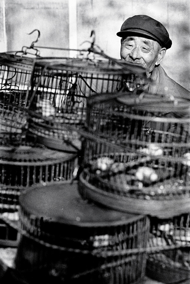 menwithbirdcages