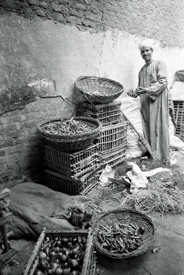 marketmaneldarbelahmar