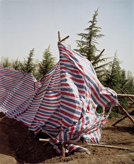 RedWhiteBlue14Kopieklein