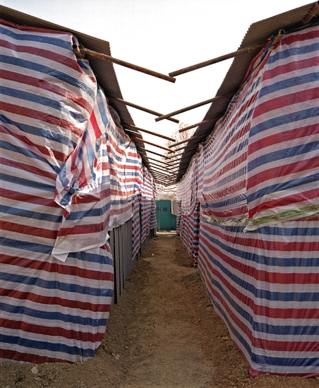 RedWhiteBlue19Kopieklein